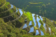 Philippines - Les rizières de Banaue © ONT Philippines