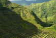 Philippines - Les rizières de Banaue