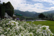 Sri Lanka - Nuwara Eliya - Langdale By Amaya