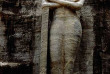 Sri Lanka - Bouddha debout de Polonnaruwa