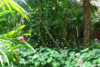 Thailande - Les Jardins de la Maison de Jim Thompson