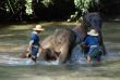 Thailande - Le bain des éléphants