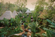 Thaïlande - Koh Lanta - Pimalai Resort & Spa - Pimalai Spa