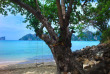 Thailande - Koh Phi Phi - Arayaburi Resort - Plage de Laem Hin