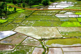 Cambodge – Campagne cambodgienne © Pandaw River Cruises