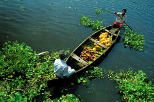 Inde - Le long des backwaters du Kérala © Incredible India