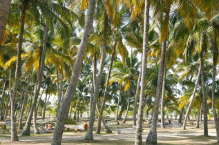 Inde - Kochi - Mararikulam - Marari Beach Resort