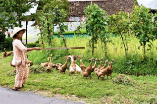 Indonésie - Java - Dans les villages des environs de Kediri