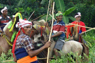 Indonésie - Pasola à Sumba