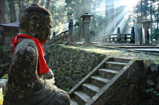 japon - Cimetière du temple Okuno-in au mont Koya © Neale Cousland - Shutterstock