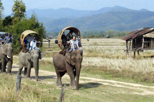 Laos - Eléphants