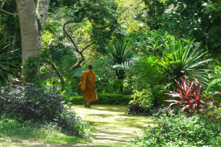 Laos - En chemin vers les chutes