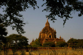 Myanmar - La Paya Bu Lei Thee