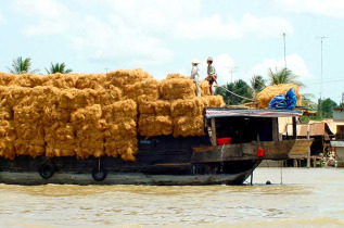 Vietnam - Circuit En route pour le Delta - Un cargo dans le Delta