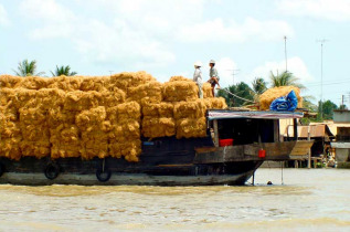  Vietnam - Excursion Delta du Mékong - Transport de marchandises dans le Delta du Mékong 