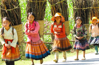 Vietnam - Escapade à Sapa - De retour des champs