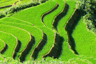 Vietnam - Circuit De Mai Chau à Sapa - Les rizières du Nord Vietnam