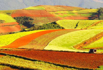 Chine - Les terres rouges du Yunnan