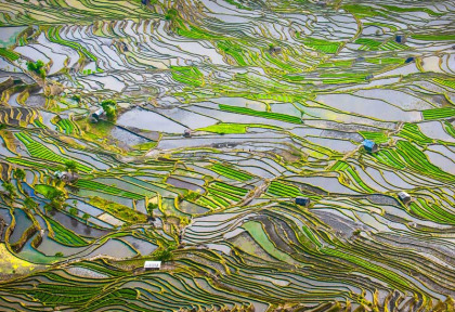 Chine - Yunnan – Les rizières de Yuanyang © Javarman – Fotolia