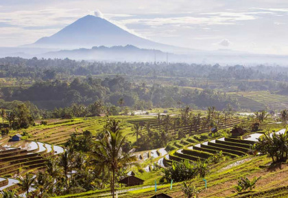 Indonésie - Bali - Les rizières de Jati Luwih et vue sur le Mont Agung © My Good Images – Shutterstock