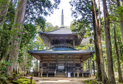 japon - Le temple Danjogaran Saito au mont Koya © Korkusung - Shutterstock