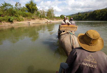 Laos - Balade à dos d'éléphant