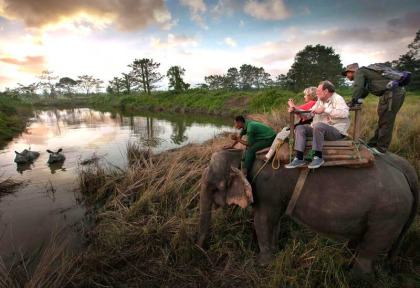 Népal - Safari à dos d'éléphant dans le Parc national du Chitwan © Kasara Resort