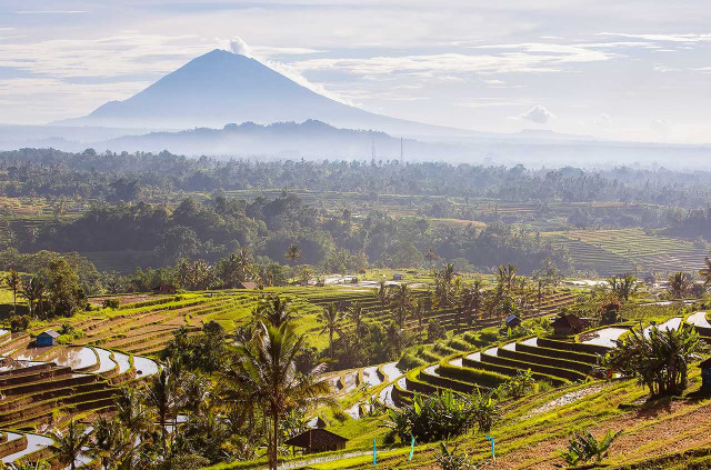 Indonésie - Bali - Les rizières de Jati Luwih et vue sur le Mont Agung © My Good Images – Shutterstock