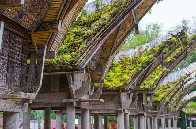 Indonésie - Sulawesi - Tongkonan d'une village Toraja © Fabio Lamanna – Shutterstock