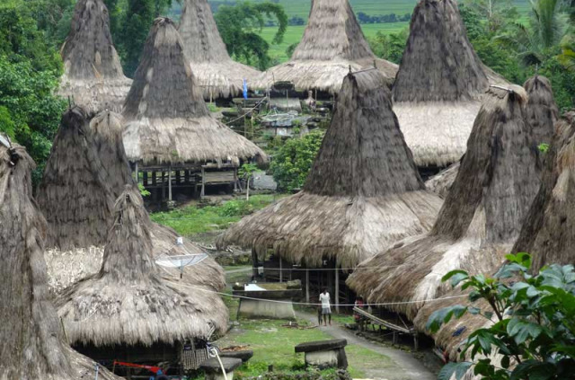 Indonésie - Village traditionnel de Sumba