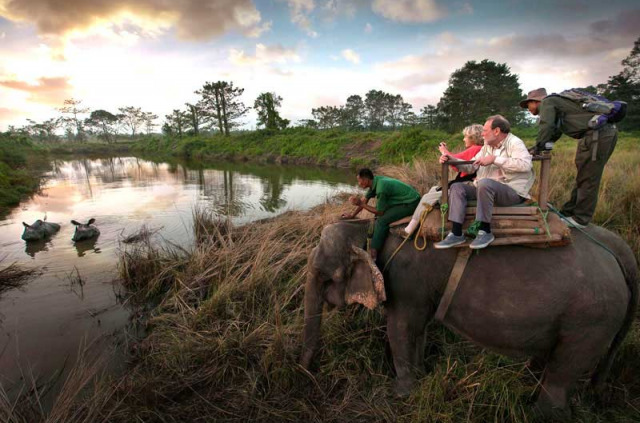 Népal - Safari à dos d'éléphant dans le Parc national du Chitwan © Kasara Resort