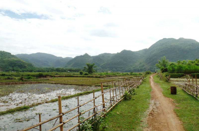 Vietnam - Dans les environs du Village de Mai Hich