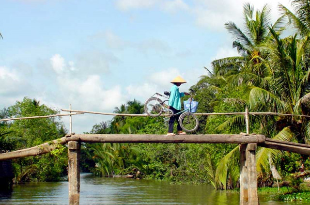 Vietnam - Pont sur le Mékong
